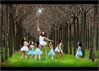 בלרינות, שלומי ניסים