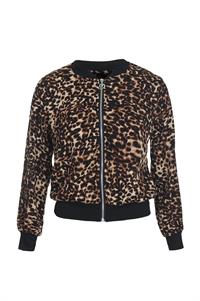 ז'קט בומבר מנומר, 179 שח, להשיג במאיושה (שינקין 5, בוגרשוב 32 ודיזינגוף 150), צלם דן מילר