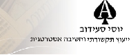 לוגו שטרן-סעידוב יחסי ציבור, ייעוץ תקושרתי וחשיבה אסט'
