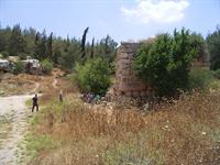 אתר באר לימון. צילום: באדיבות רשות העתיקות
