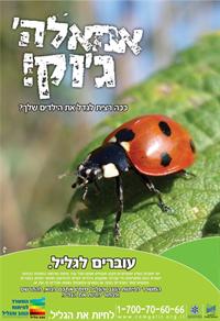 אמאל'ה ג'וק!!