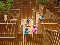 המבוך הארוך בארץ בדרך העץ 