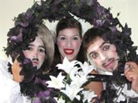 המשרתת הגבירה