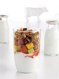 Yogo. צילום: אפרת אשל 