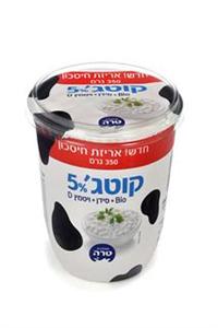 קוטג' טרה