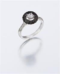 צילום: אפרת אשל