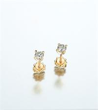 צילום: אפרת אשל