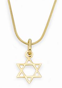 מגן דוד מזהב צהוב של תכשיטי צבאן ברשת המשביר לצרכן  270 ש"ח. צילום: שלומי ברנטל