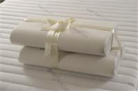 צילום: ניסים לב