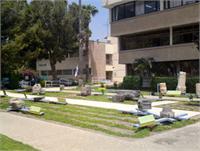 תמונת הגן. צילום: עופר קוטלר