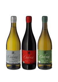 סדרת קדנזה. יקב ארזה