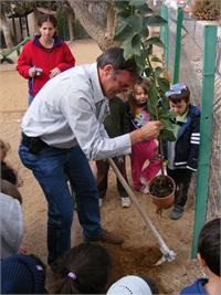 שאול גולדשטיין. נטיעות ט,ו בשבט ביישוב תקוע