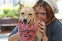 צילום: צער בעלי חיים רמת גן.
