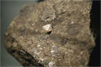 יהלום גלם באבן קימברלט. צלם- נתן דביר 