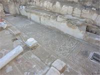 תמונת הפסיפס שהשתמר כמעט כולו