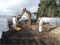 אסבסט בגליל המערבי