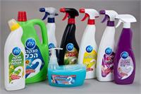 הנבחרת של קלין לחג פסח. 
