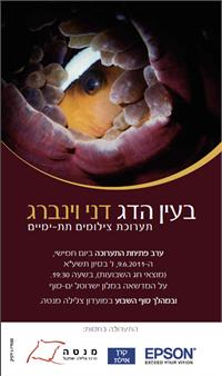 הזמנה לתערוכת צילומים תת ימיים באילת