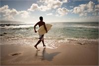 surfertropix יח"צ