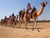 טיולי גמלים בחוה"מ בחאן השיירות