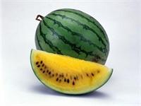 אבטיח כתום. יח"צ