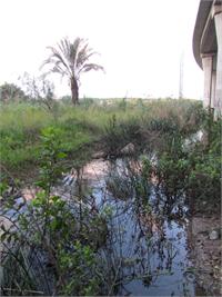נחל סעדיה באזור צומת הצ'קפוסט בחיפה (צילום: אלון בן מאיר, רשות נחל הקישון