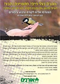 מידע נוסף