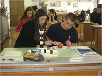 כל ישראל חברים, מעבדה לביולוגיה באליאנס חיפה