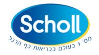 לוגו שול