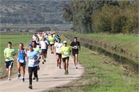 מירוץ העגור צילום: סוכנות ג'ימי