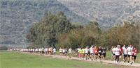 מירוץ העגור צילום: סוכנות ג'ימי