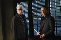 CSI NY 9