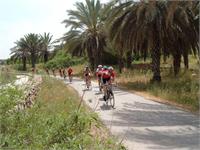 ניווטים רכובים. צילום: יח"צ