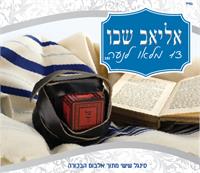 אליאב שבו 13 מלאו לנער | עטיפת הסינגל