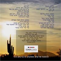 ארי גולדוואג רק הוא | הקרדיטים ומילות השיר