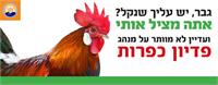 פידיון כפרות במטבעות- עמותת יד עזרא ושולמית