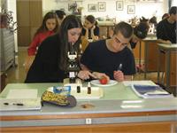 תלמידים באליאנס חיפה