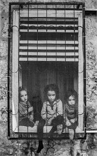 אוהד צויגנברג