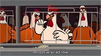תמונה מהסרטון