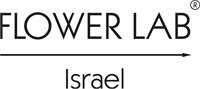 לוגו 