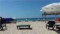 צילום: גאולה חיים