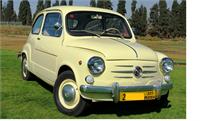 צילום-אסף לוי FIAT 600D 1970רוני עובדיה