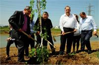 יונה יהב, סגן השר ירון מזוז והשר זאב אלקין נוטעים את העצים הראשונים צילום: אלון לויטה