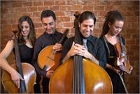 Gilad Ephrat string Ensemble  אנסמבל גלעד אפרת קרדיט עדי הראל