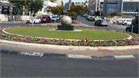 קרדיט תמונה: דודי ביטון מח' לוגיסטיקה-גננות