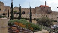 Avner Sher