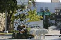 יום פתוח משרד החקלאות. קרדיט צלם:רונן חורש