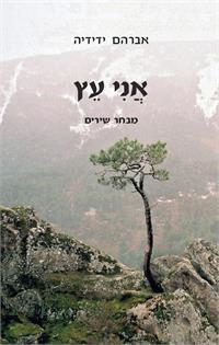 צילום הכריכה: נוף בדרך לעמק הנופלים, ספרד. צילום: ורה ידידיה
