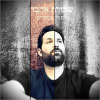 שְׁכוּרַת אַהֲבָה