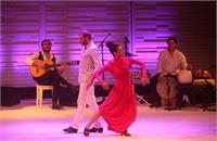 אדוה ירמיהו - NATASHA SHAKNESS קרדיט -